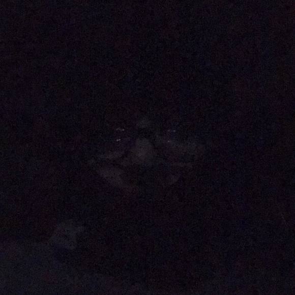 Meet your Posher, Michael - Picture 1 of 1